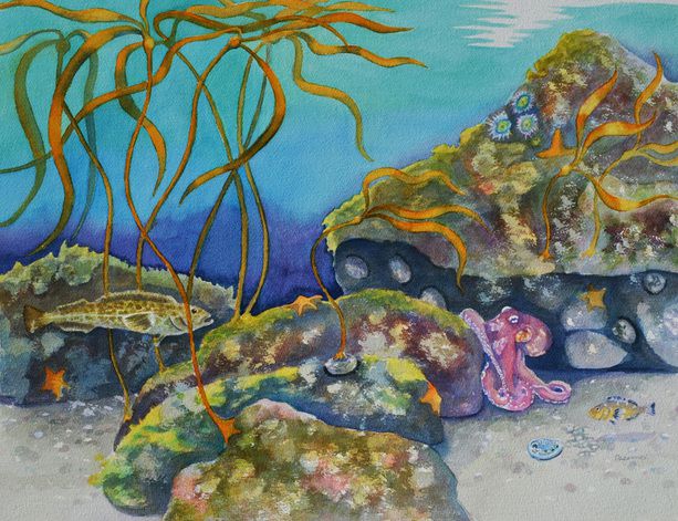 Debra Beck Lennox: Octopus Garden