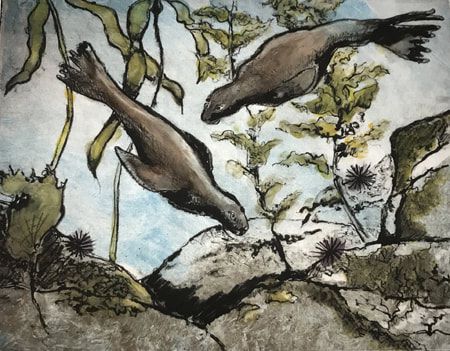 Debra Beck Lennox: Stellar Sea Lion Sisters