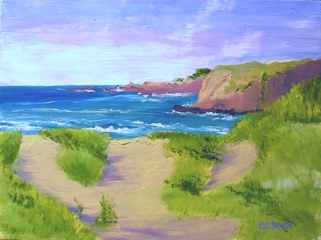 Cynthia Crocker Scott : Caspar Creek Dunes