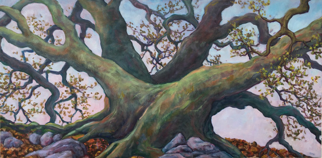 Maeve Croghan: Happy Oak 1920