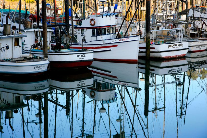 Jim Moorehead: Audrey, Noyo Harbor